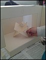20150511_120749.jpg
