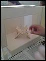 20150511_120750.jpg