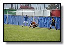 DSC_0905.JPG