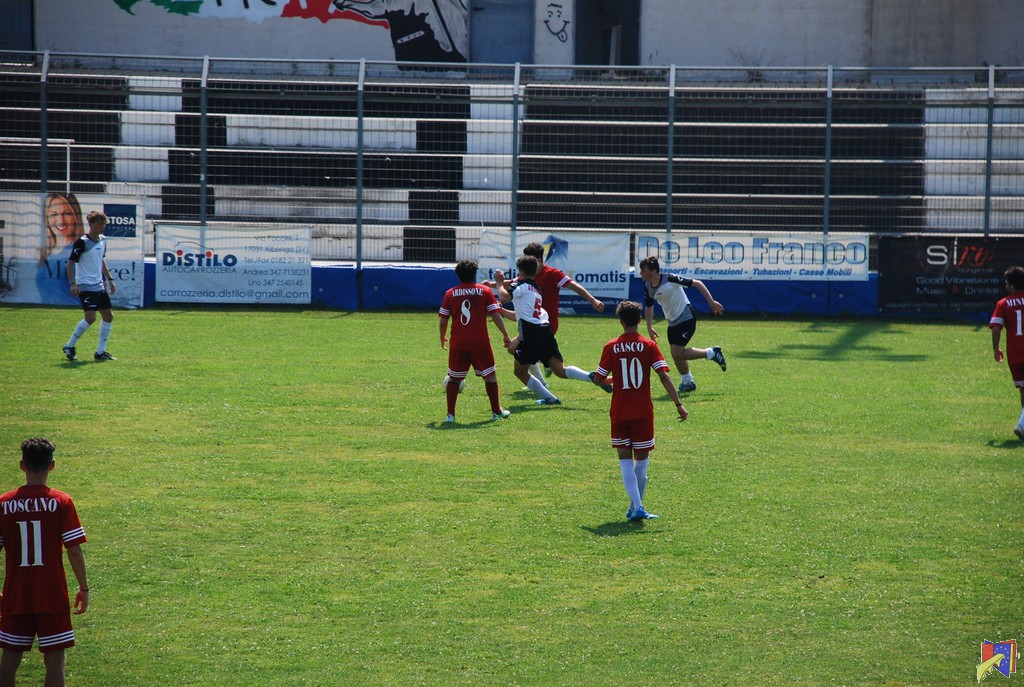DSC_0700.JPG