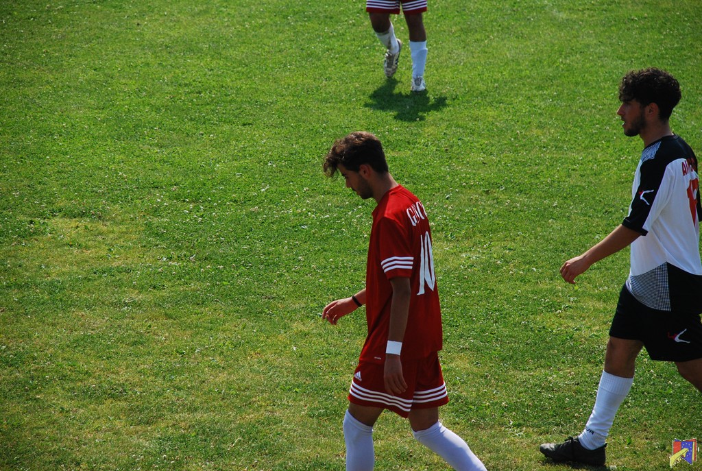 DSC_0703.JPG