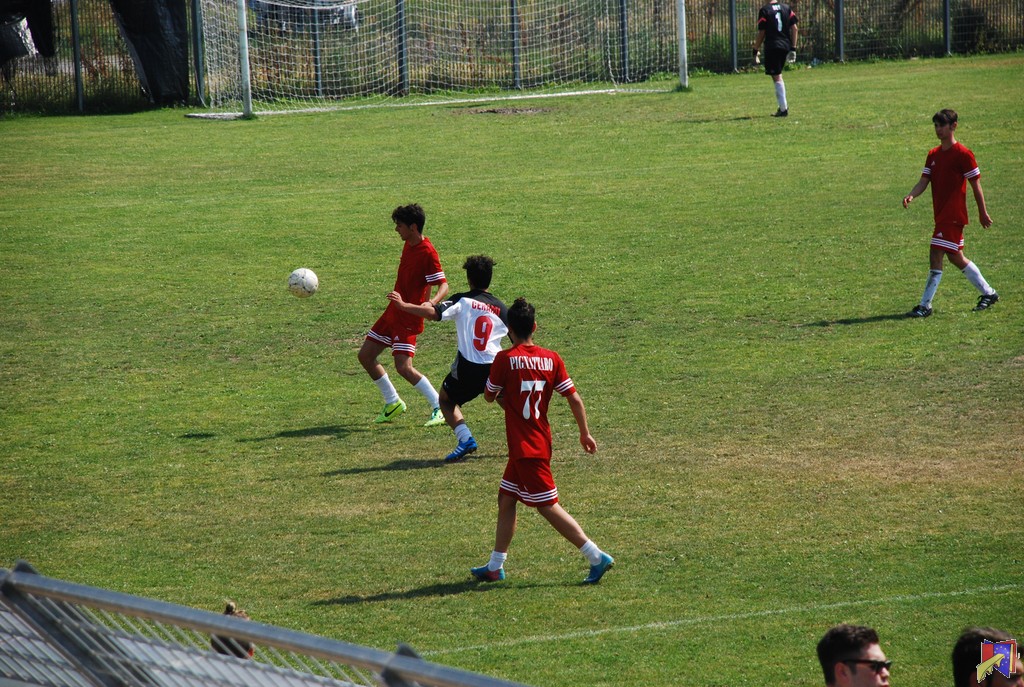 DSC_0704.JPG