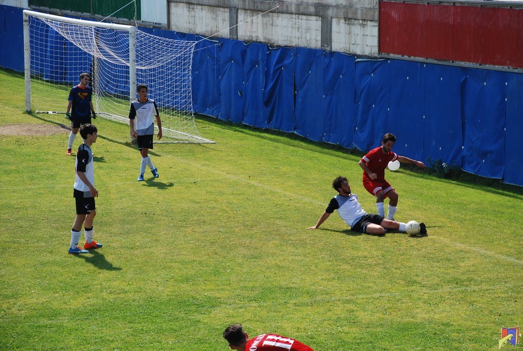 DSC_0709.JPG