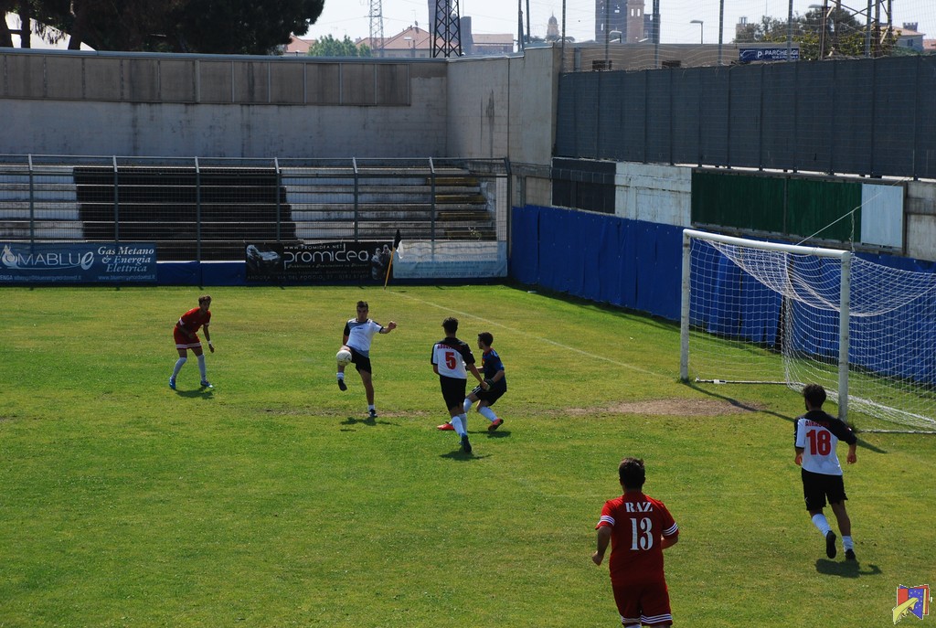 DSC_0711.JPG