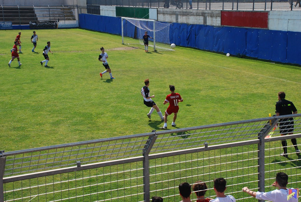 DSC_0714.JPG