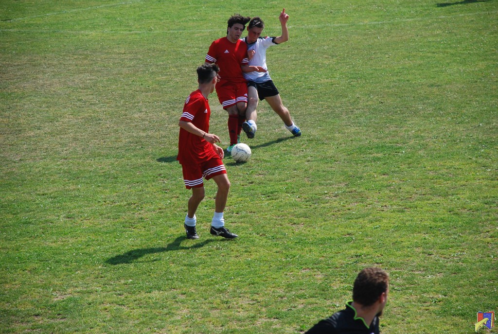 DSC_0716.JPG