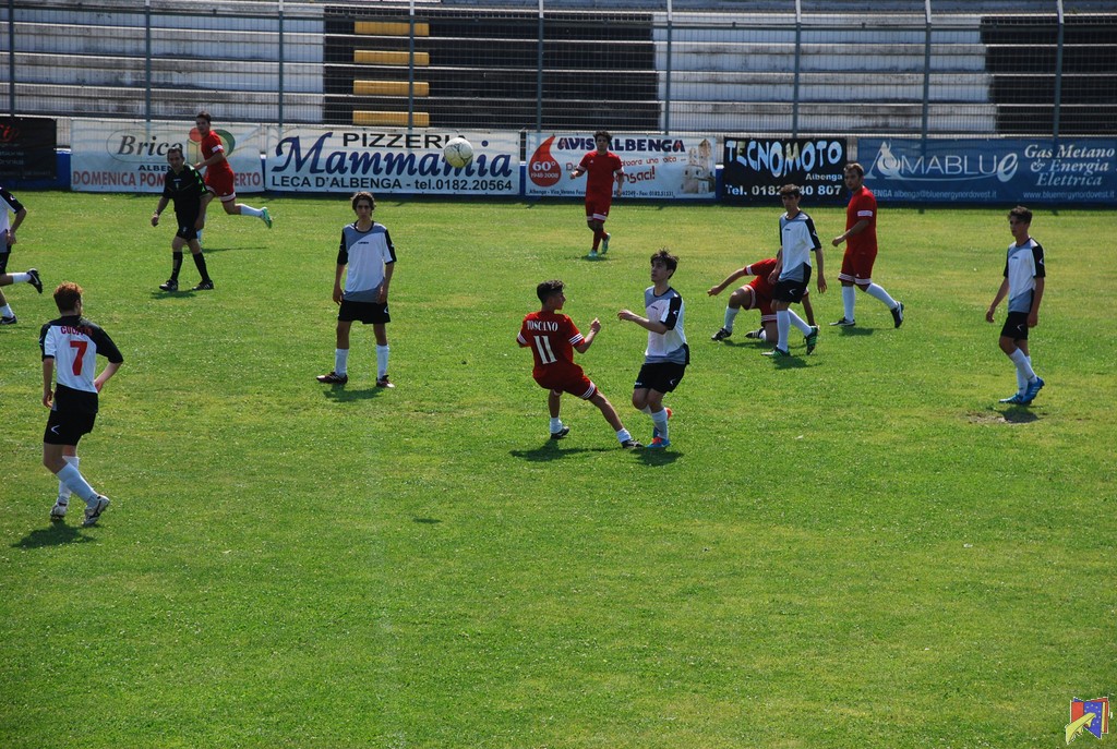 DSC_0723.JPG