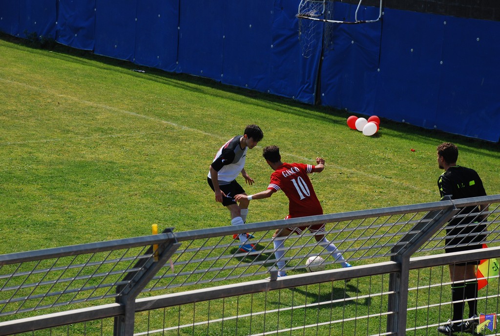 DSC_0724.JPG