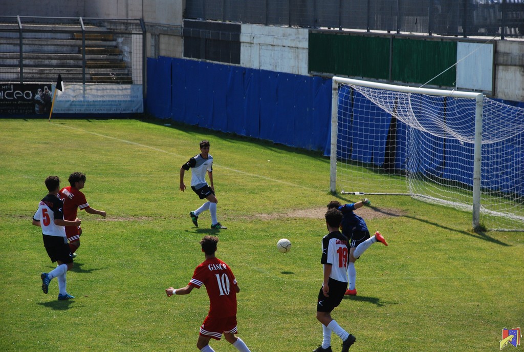DSC_0735.JPG