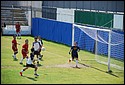 DSC_0707.JPG