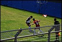 DSC_0724.JPG