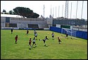 DSC_0731.JPG