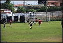 DSC_0733.JPG