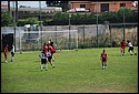 DSC_0738.JPG