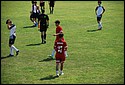 DSC_0743.JPG