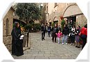 DSC_0091.JPG