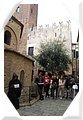 DSC_0094.JPG