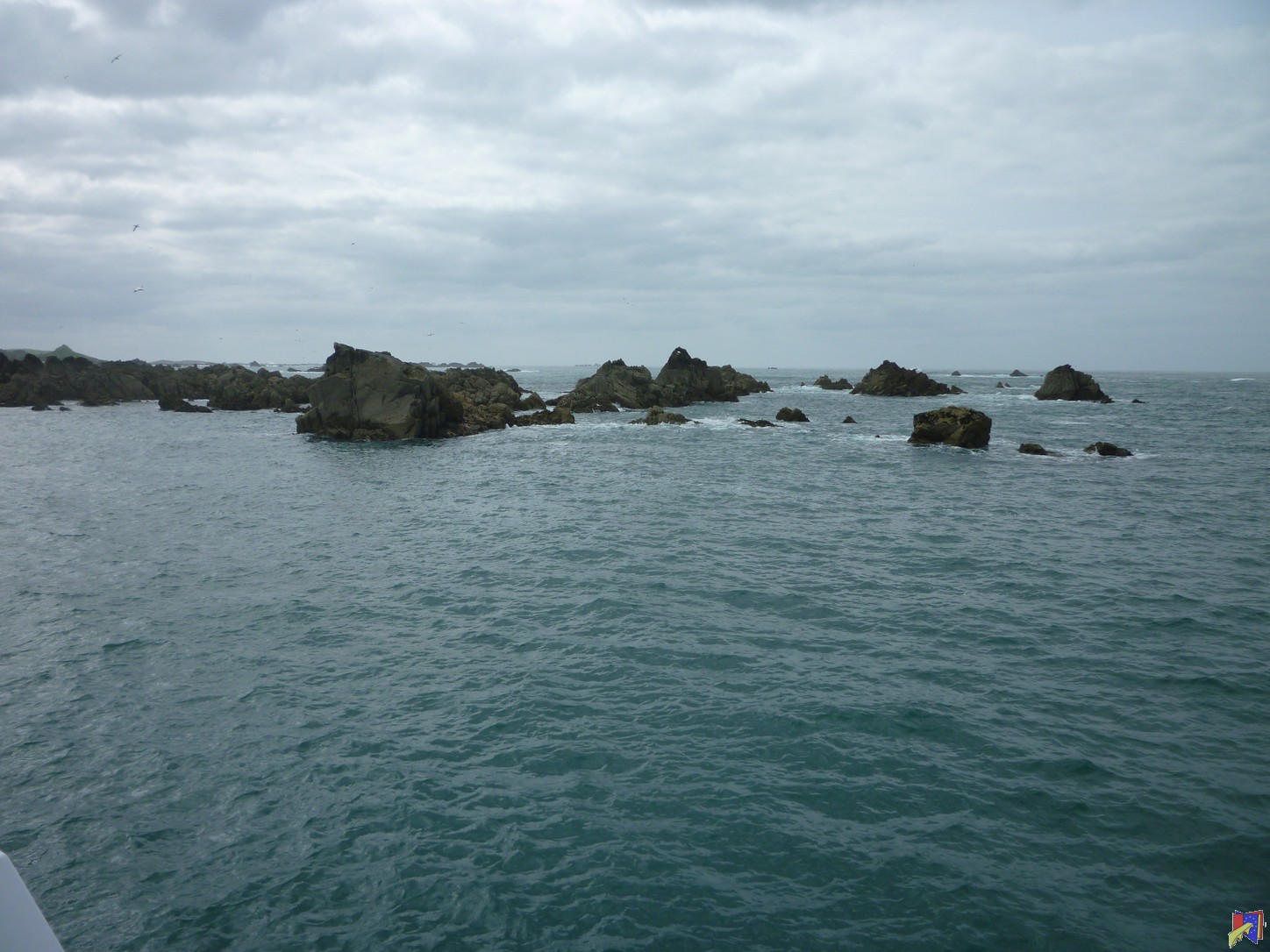 P1030521.JPG