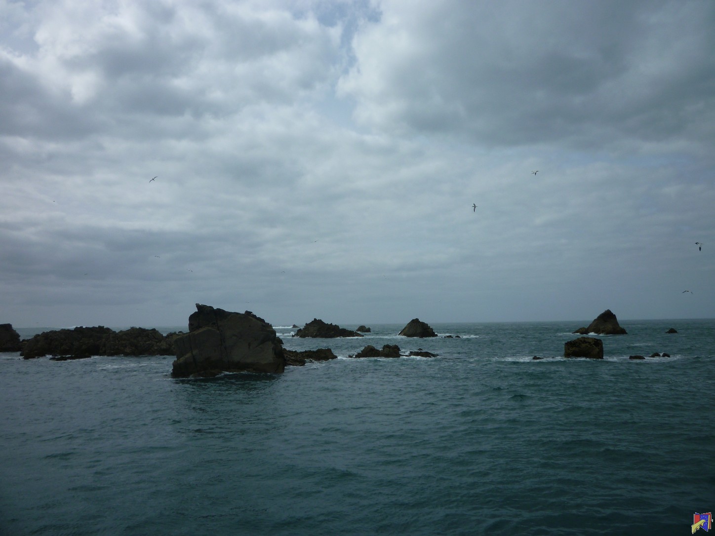 P1030529.JPG