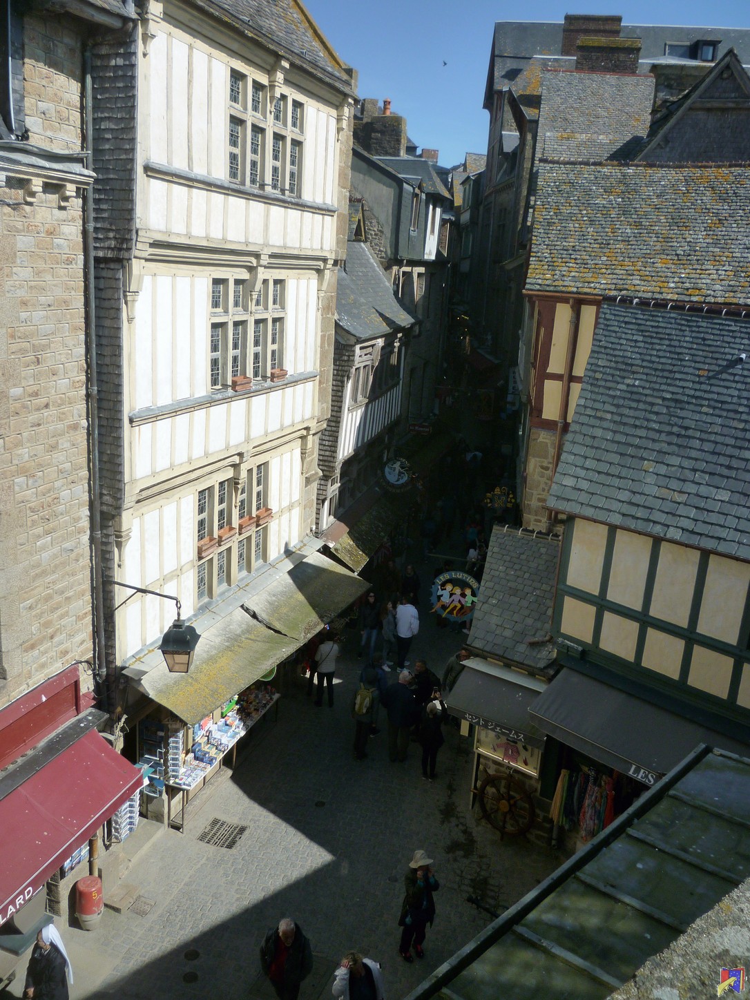 P1030538.JPG