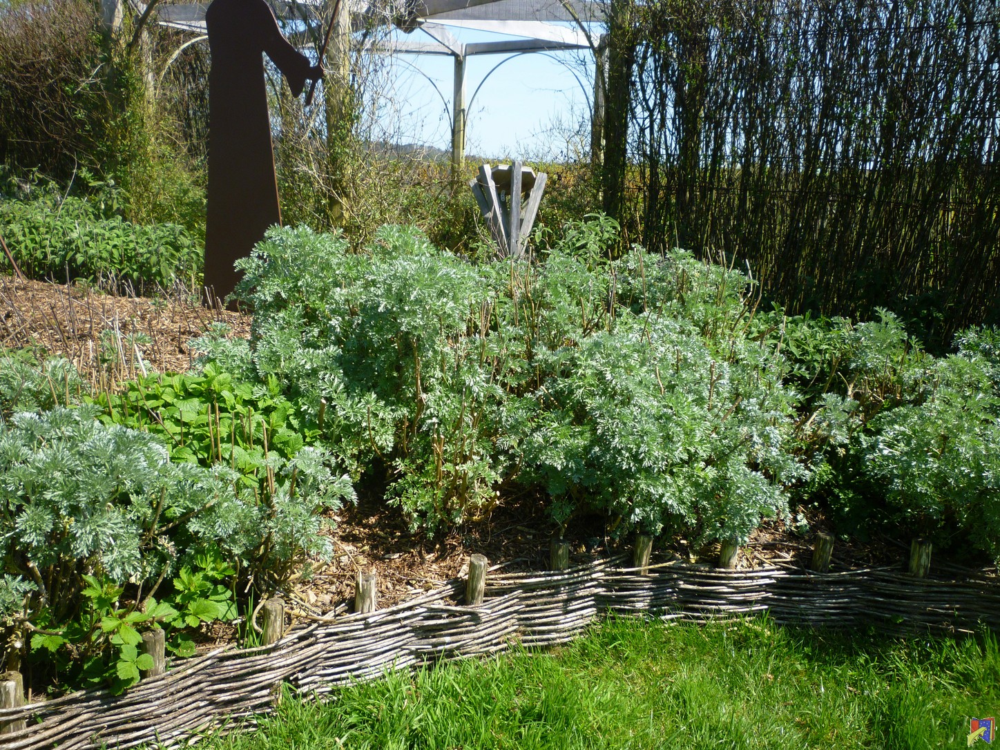 P1030569.JPG