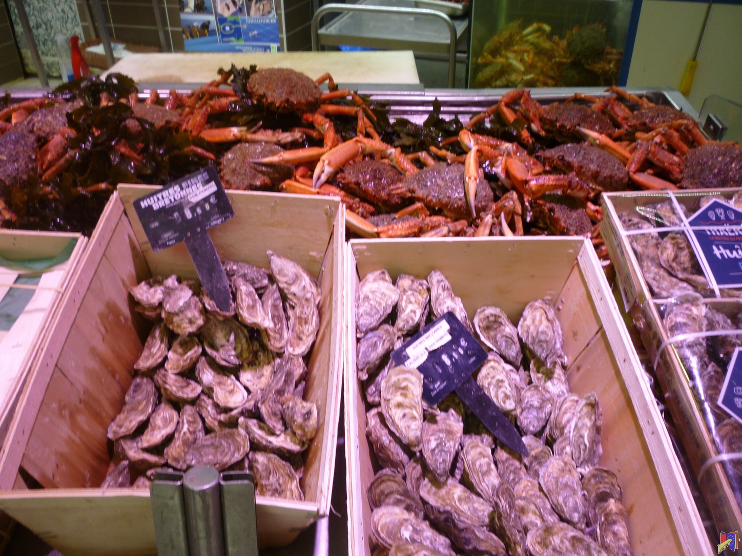 P1030627.JPG