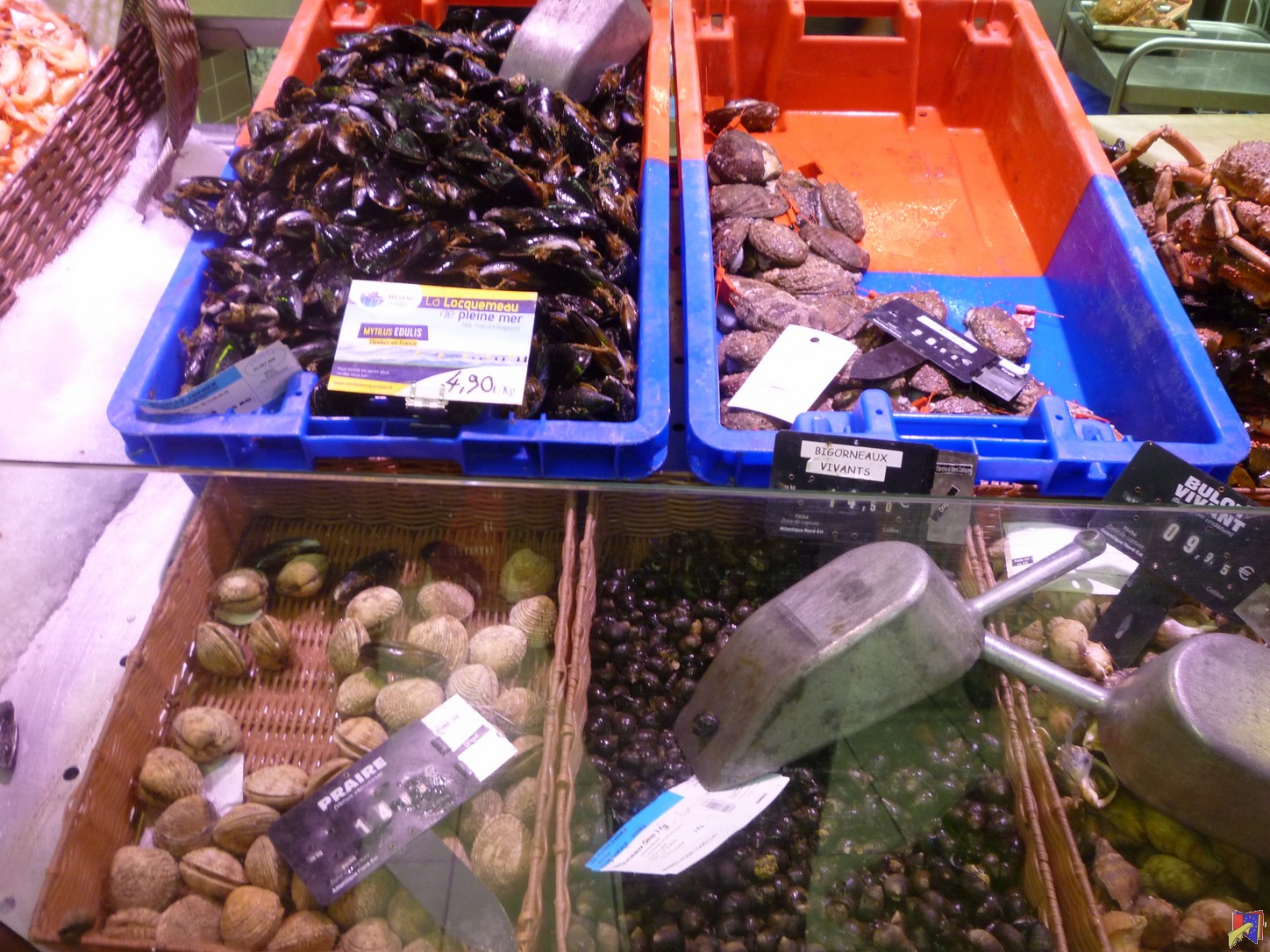 P1030629.JPG