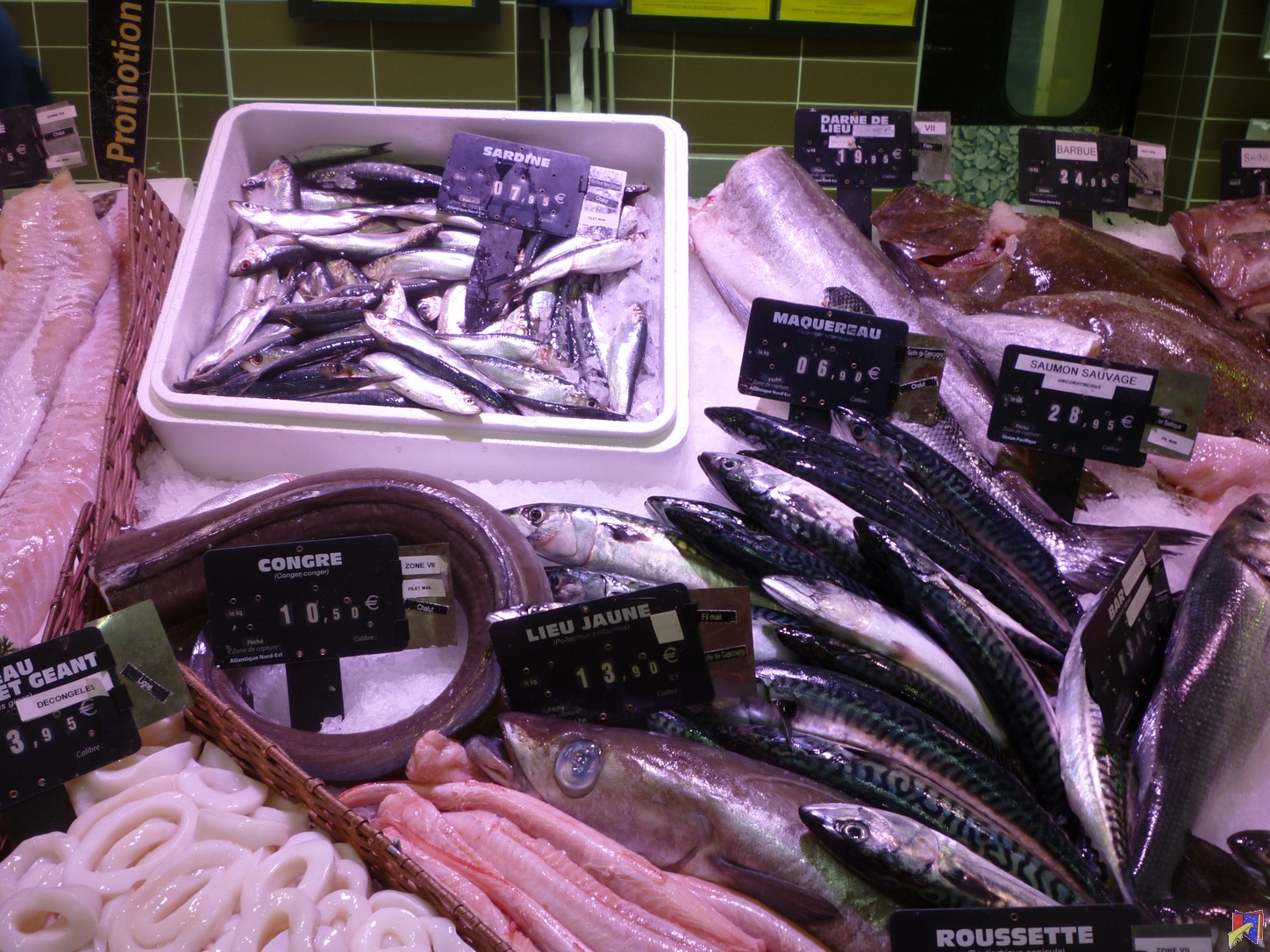 P1030632.JPG
