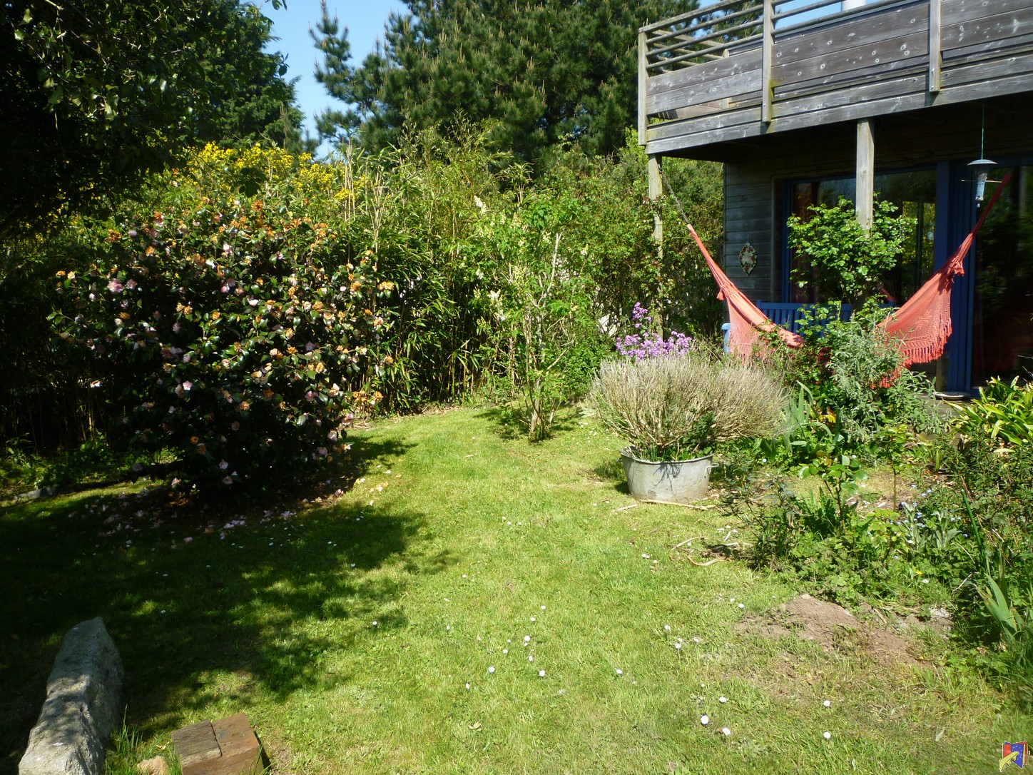 P1030633.JPG