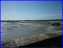 P1030540.JPG