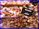 P1030631.JPG