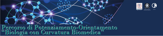 211004_Biomedica_0002_rev8